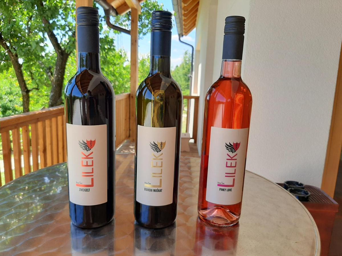 Rooms & Wine Lilek Sentilj Dış mekan fotoğraf